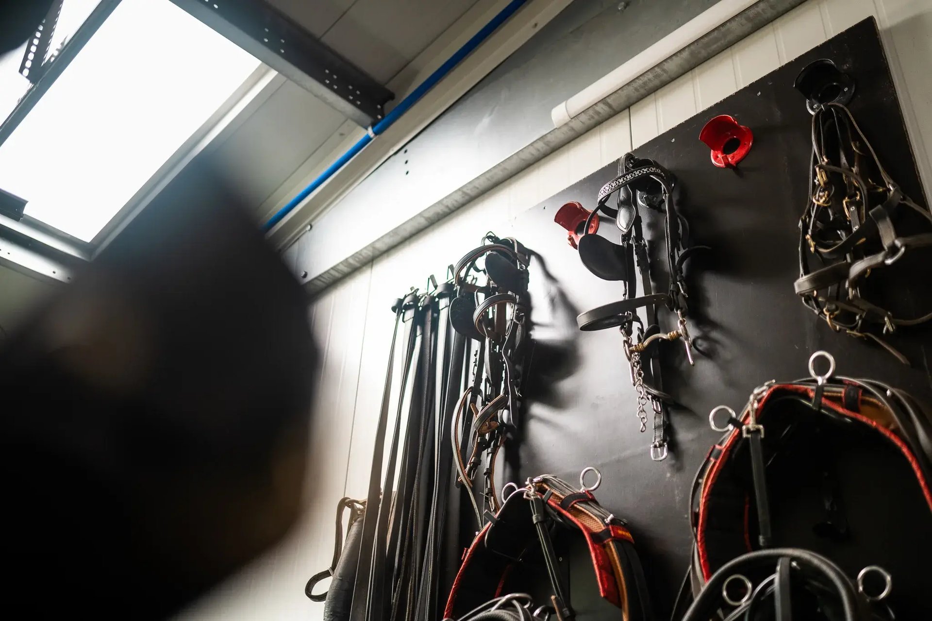 Frisokit-zelfbouwloods-DIY-steel-building-bâtiment-à-monter-soi-même_12